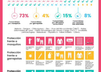 Foto de Infografía sobre las enfermedades que amenazan al turismo