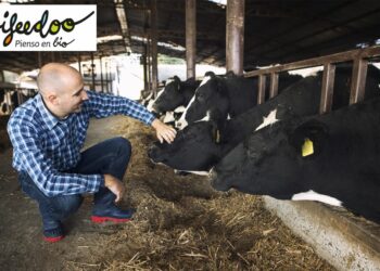Foto de La importancia de una buena alimentación en el ganado vacuno