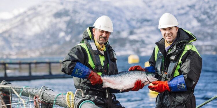 Foto de Noruega es líder mundial en pesca y acuicultura